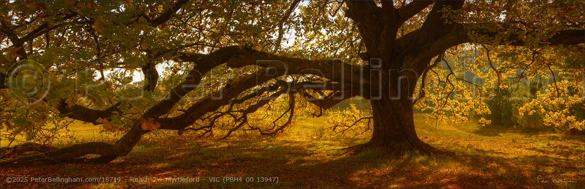 Peter Bellingham Photography Reach 2 - Myrtleford - VIC (PBH4 00 13947)